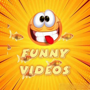 קבוצת טלגרם - Funny Videos IL
